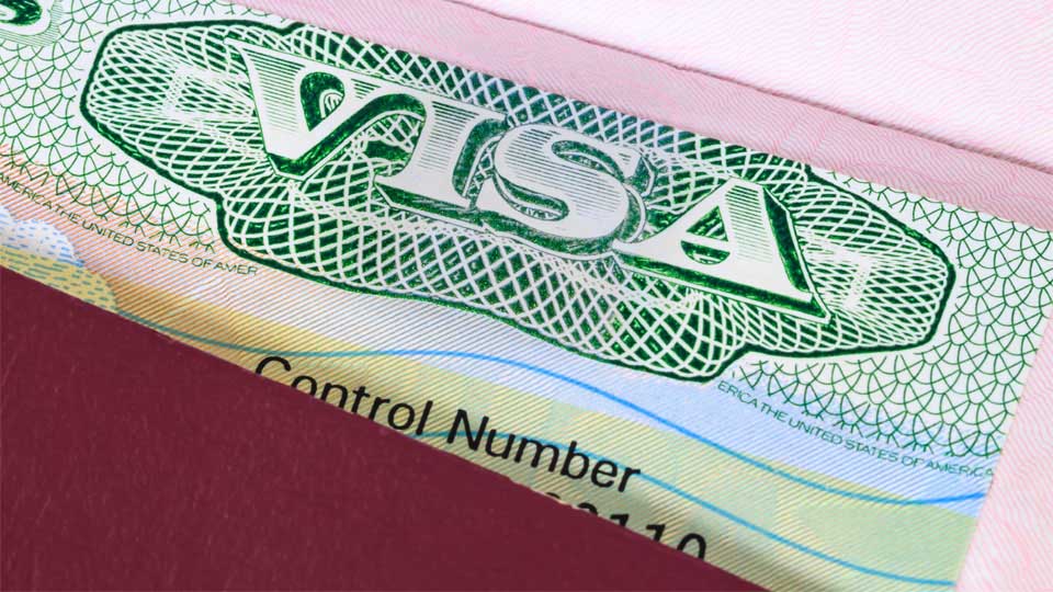 Irish Visa Close Up