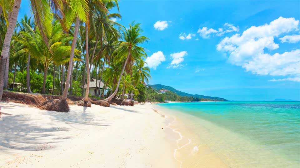 a deserted beach with palm trees and blue water in Pattaya, Thailand