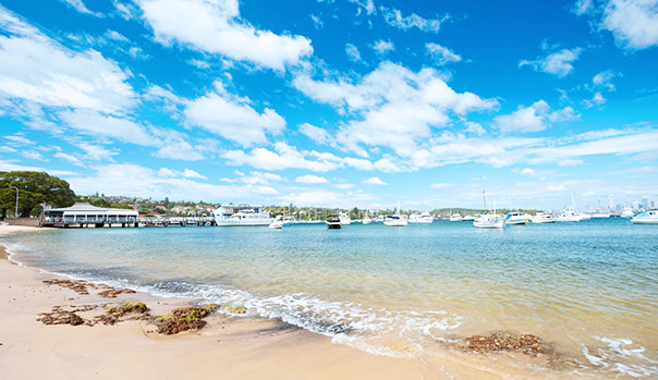 waston bay beach and surf